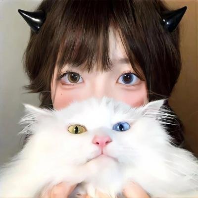 襄阳萌物语