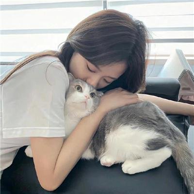 静静的决斗